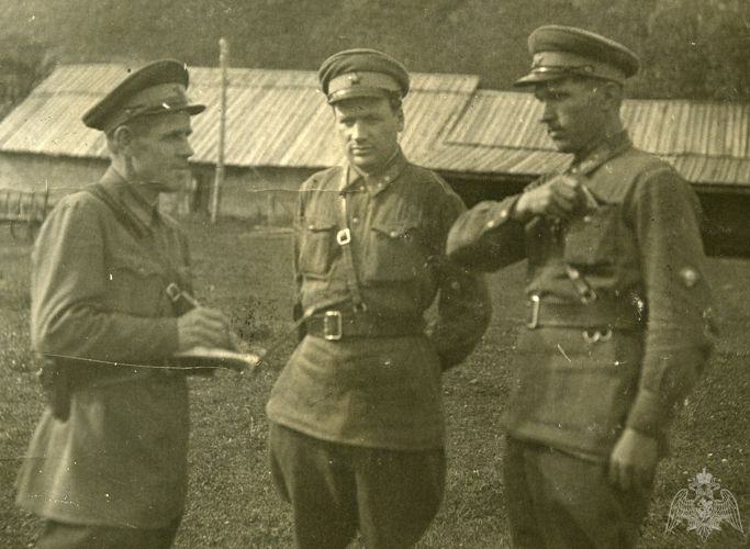 Товарищ редактор