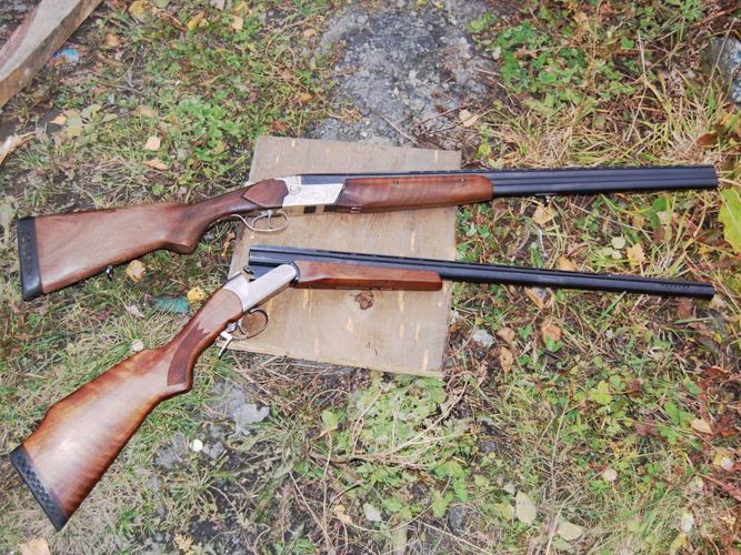 В Краснощековском районе росгвардейцы задержали браконьеров, застреливших косулю 