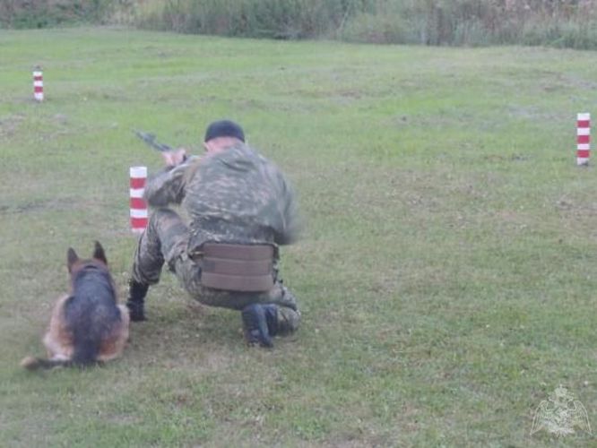 21 июня - День образования кинологических подразделений Росгвардии