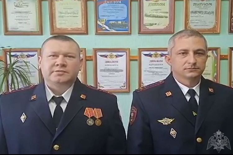 Милые Дамы!