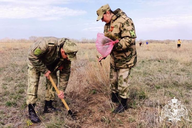 Росгвардейцы приняли участие в акции «Лес Победы»