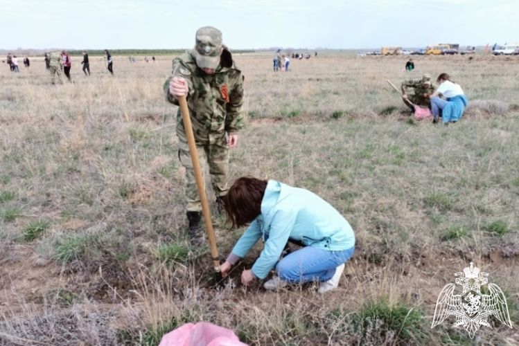 Росгвардейцы приняли участие в акции «Лес Победы»