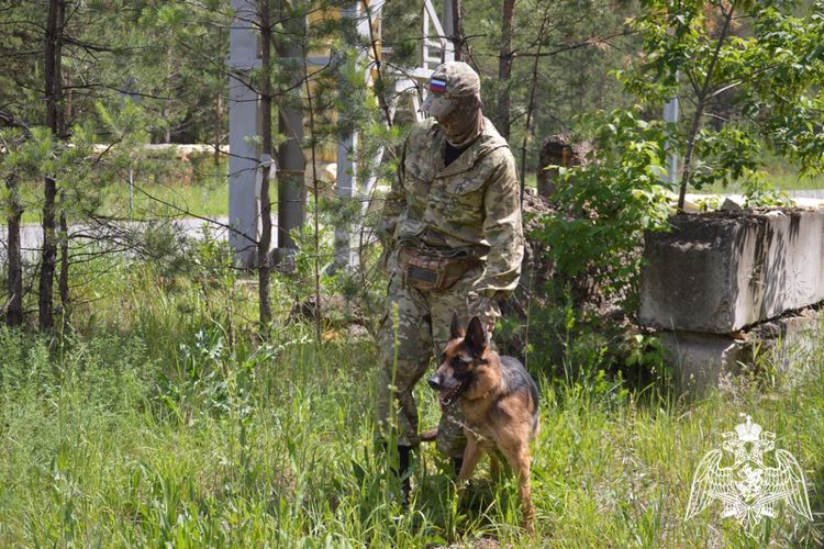 21 июня – день кинологических подразделений Росгвардии