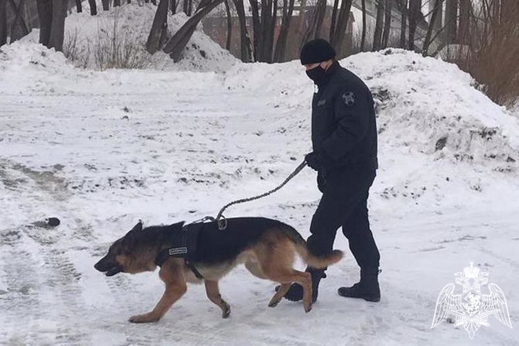 21 июня – день кинологических подразделений Росгвардии