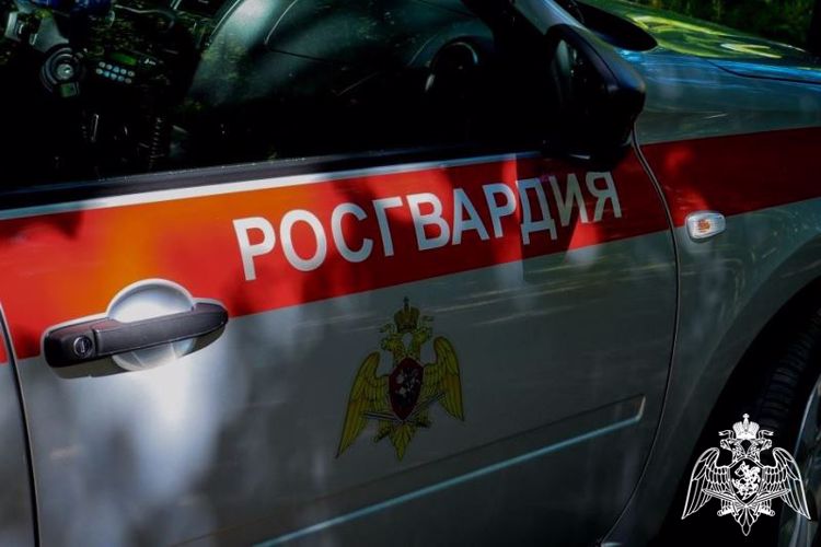Бдительность росгвардейцев помогла задержать нетрезвого водителя