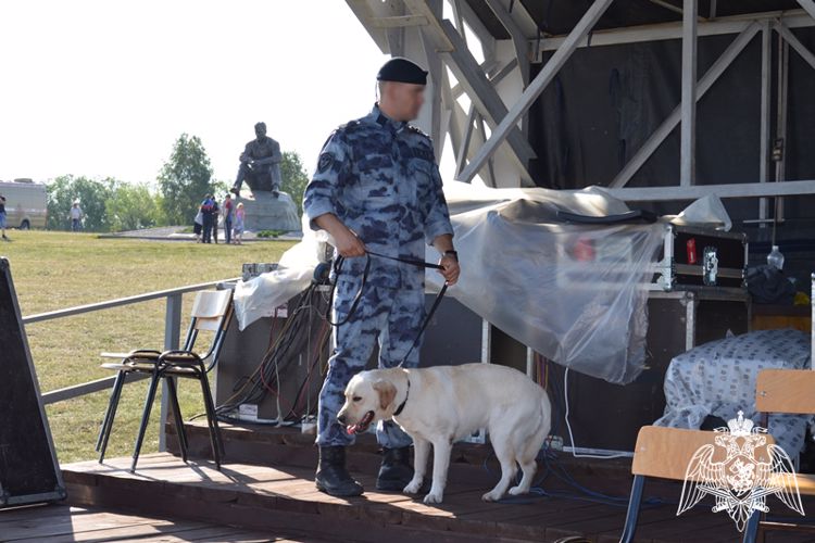 Росгвардейцы обеспечили безопасность всероссийского фестиваля
