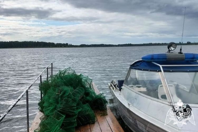 Росгвардецы принимают участие в рейдовых мероприятиях по борьбе с браконьерской деятельностью в регионе
