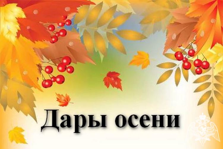 ВНИМАНИЕ!!!  КОНКУРС!!!