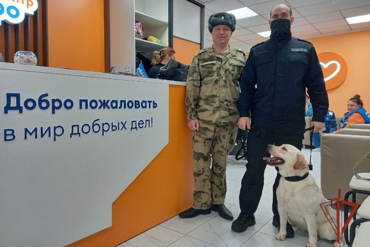 Кинологи Росгвардии побывали в гостях у барнаульских ветеранов