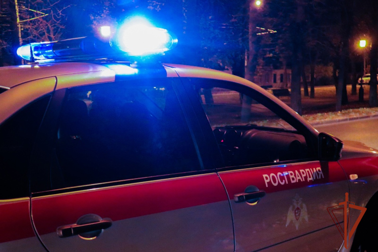 Росгвардейцы задержали подозреваемого в грабеже