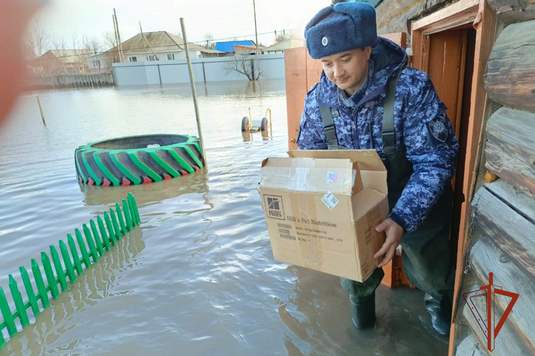 Росгвардейцы помогают жителям Алтайского края,  которые оказались в зонах подтопления 
