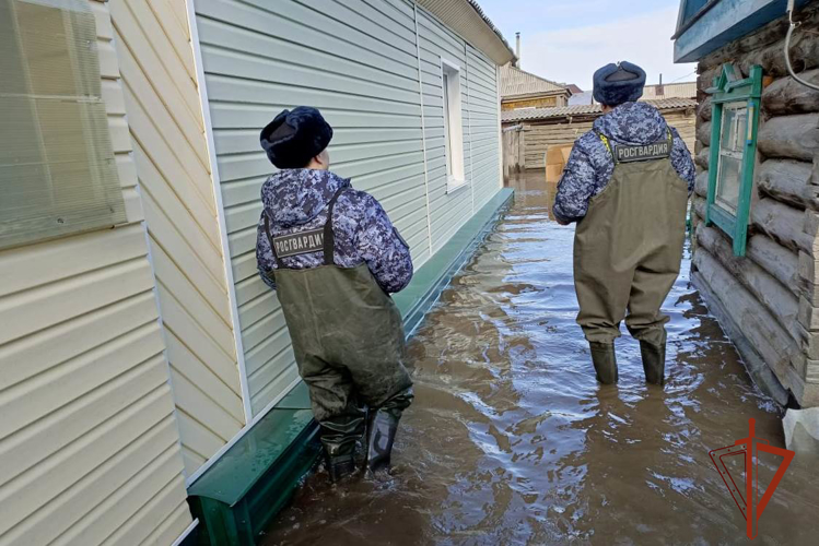 Росгвардейцы помогают жителям Алтайского края,  которые оказались в зонах подтопления 