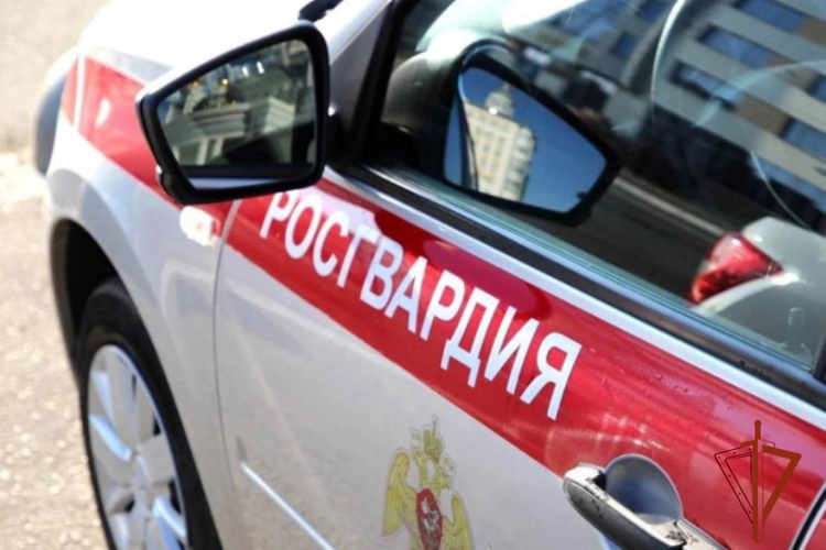 Патруль Росгвардии помог вернуть владельцу похищенный смартфон