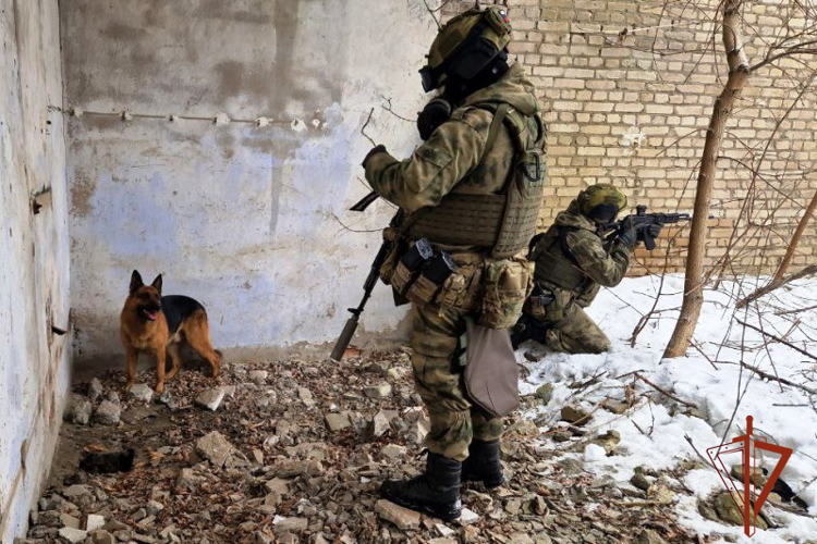 21 июня – День кинологических подразделений Росгвардии