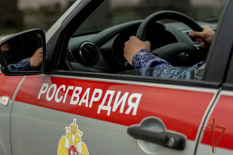 Патруль Росгвардии помог вернуться домой потерявшейся пенсионерке