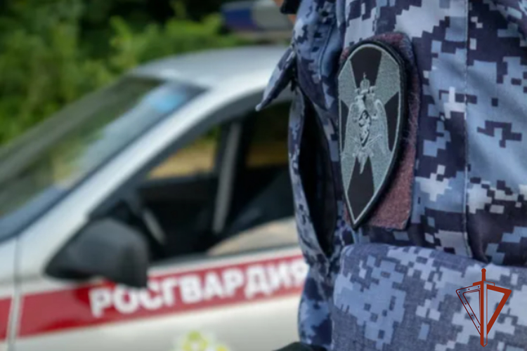 Росгвардейцы по «горячим следам» задержали двоих граждан, совершивших крупное хищение