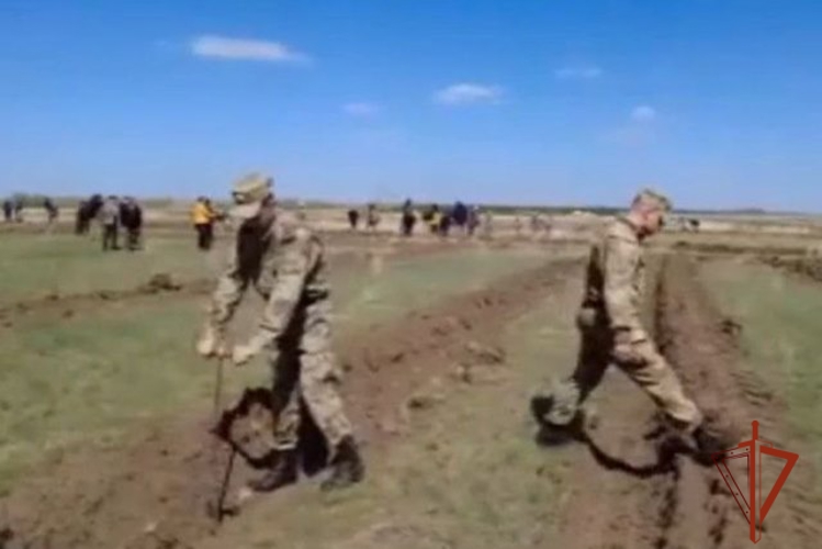 АЛТАЙСКИЕ РОСГВАРДЕЙЦЫ ВЫСАДИЛИ «ЛЕС ПОБЕДЫ»