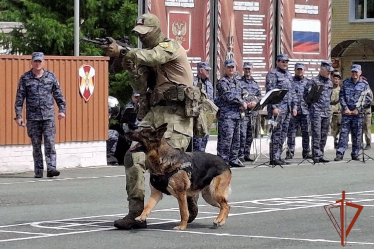 21 июня - День образования кинологических подразделений Росгвардии