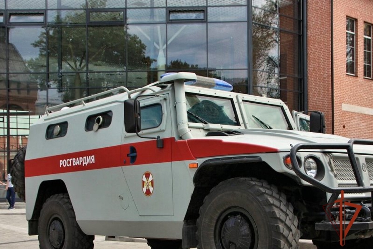 В Алтайском крае при поддержке Росгвардии два депутата задержаны по подозрению в мошенничестве
