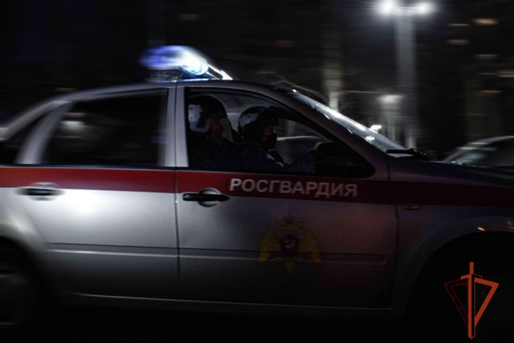 Барнаульские росгвардейцы оказали помощь  сотрудникам ДПС 