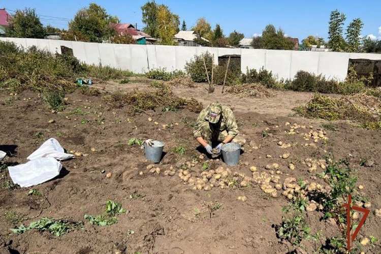 Росгвардейцы оказали помощь матери погибшего земляка - героя