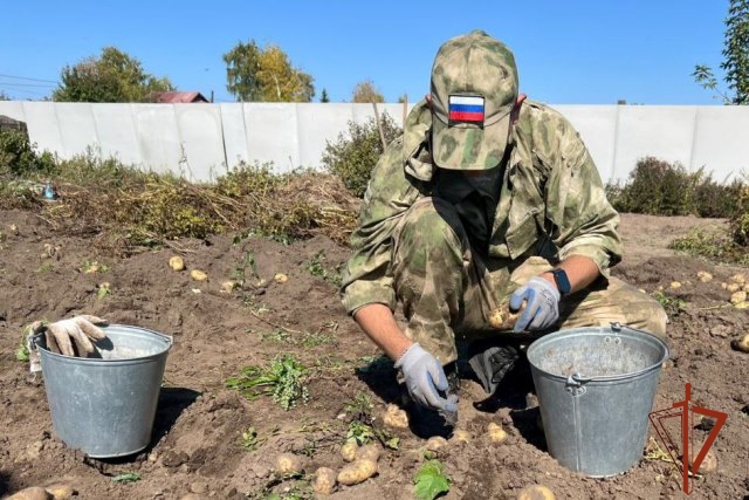 Росгвардейцы оказали помощь матери погибшего земляка - героя