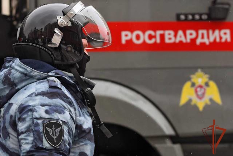Спецназ Росгвардии оказал силовую поддержку оперативникам при задержании банды дропперов в Алтайском крае