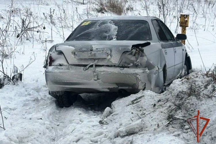 Алтайские Росгвардейцы задержали двух нетрезвых водителей