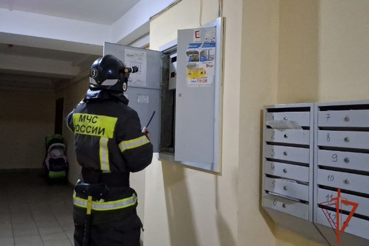 Росгвардия и МЧС провели масштабные учения по тушению пожара в высотке