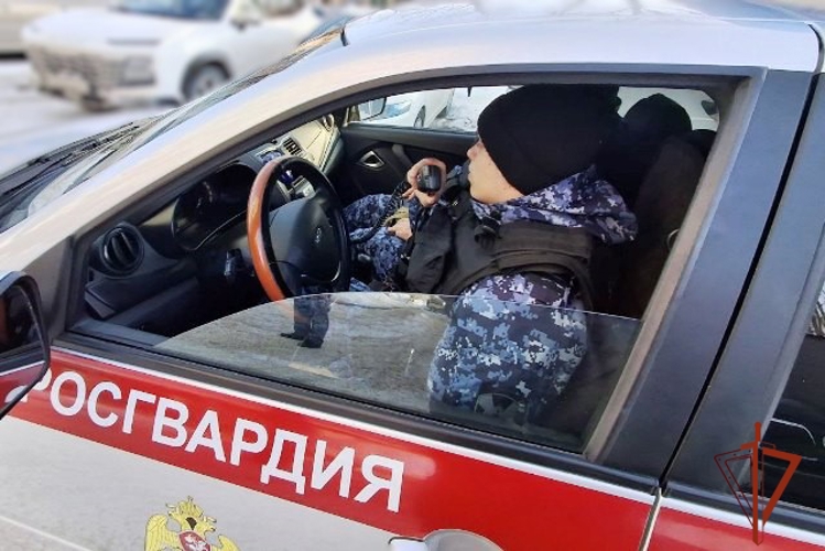Росгвардейцы "по горячим" следам задержали подозреваемых в грабеже
