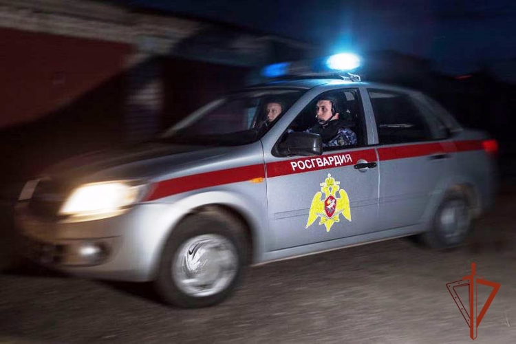 Алтайской Росгвардией задержан серийный похититель алкоголя