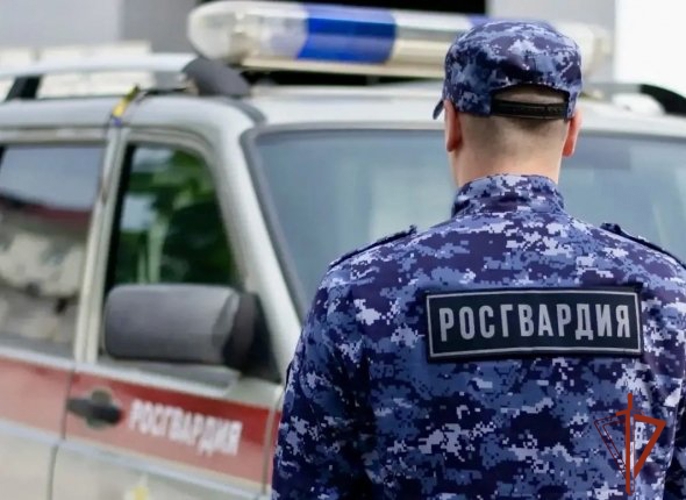 В Алейске росгвардейцы задержали нетрезвую женщину, угнавшую автомобиль у знакомого